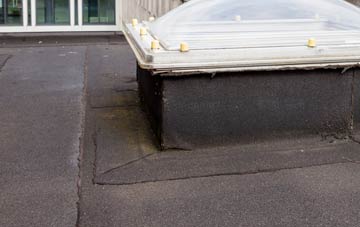 disadvantages of Chapmans Town flat roofs